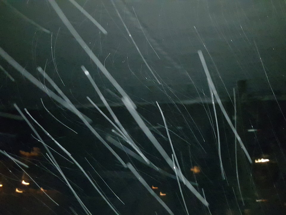 20180226_211810.jpg - rysiopolo