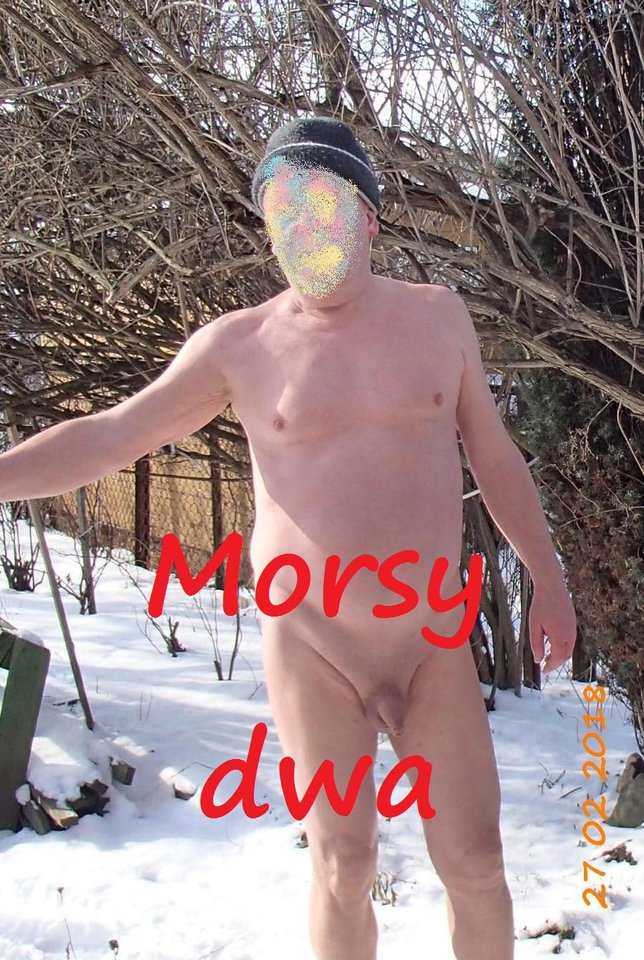 Po kulaniu się w śniegu. - Morsy_dwa