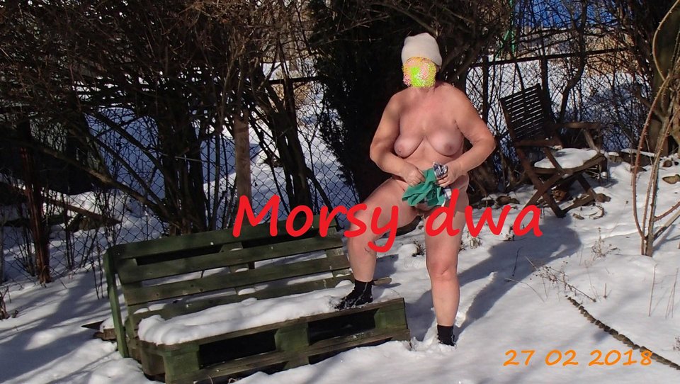 Po kulaniu się w śniegu. - Morsy_dwa