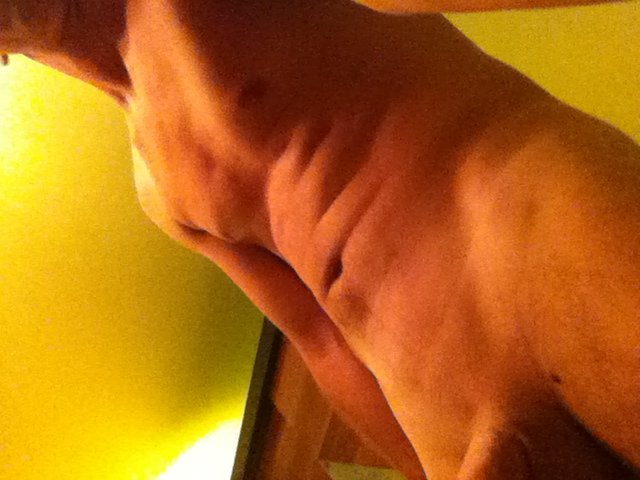 IMG_0450.JPG - ProdcentWrazen