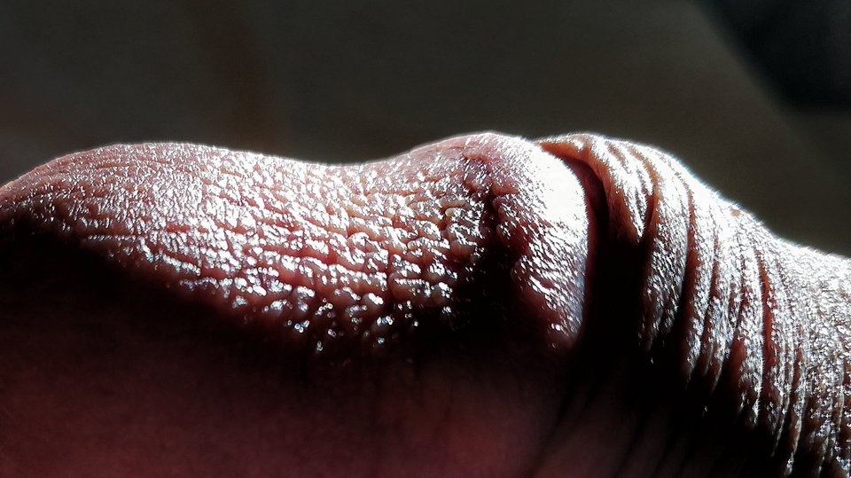 IMG_20180301_092338-01.jpeg - MrFerda