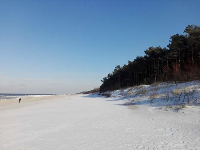 FB_IMG_1519901503821.jpg - bloqu