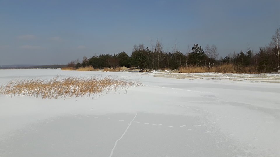 20180301_123850.jpg - rafixxx1