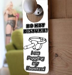 do not disturbe pegging.jpg