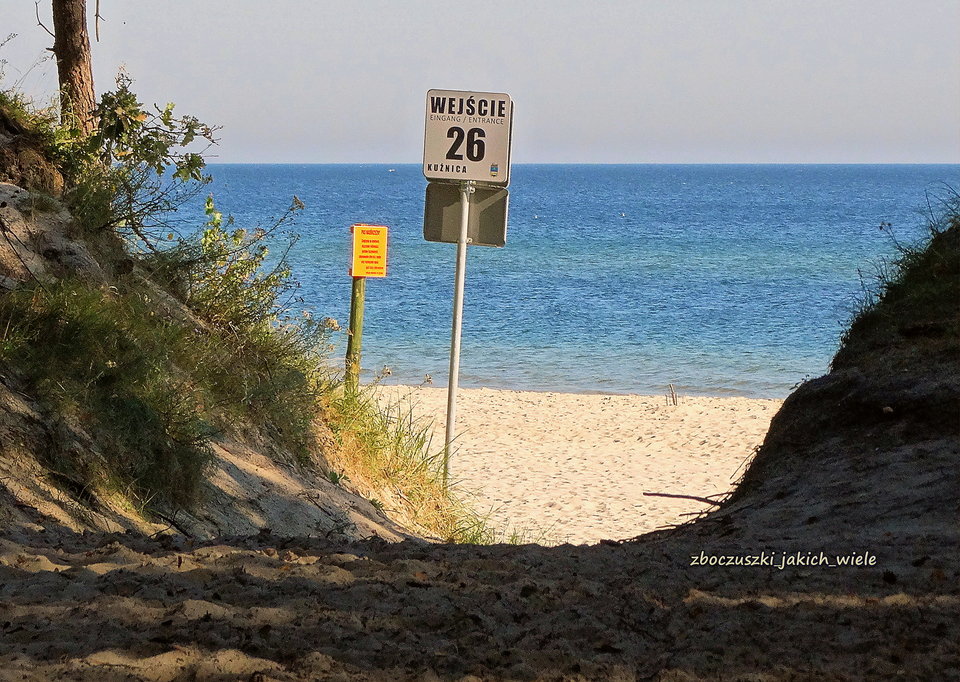 Tak planując.. - zboczuszki_jakich_wiele