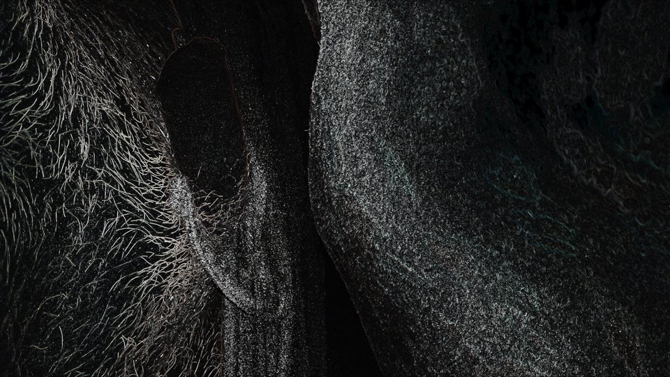 20180303_193956.jpg - rredmonton