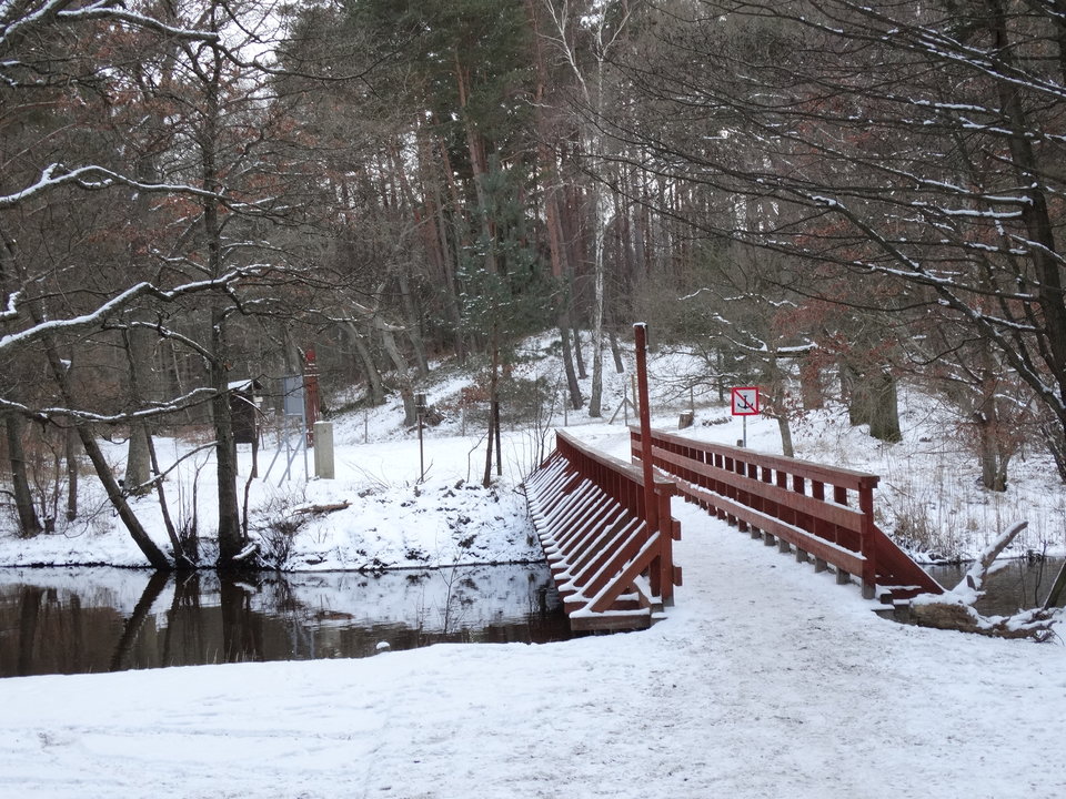 DSC02789.JPG - dex72