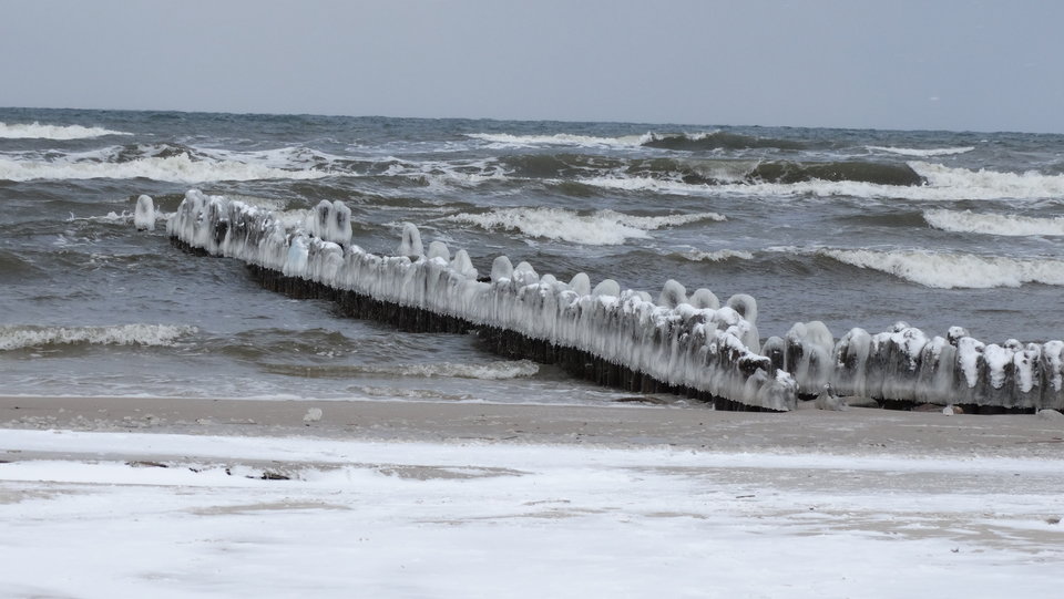 DSC02796.JPG - dex72