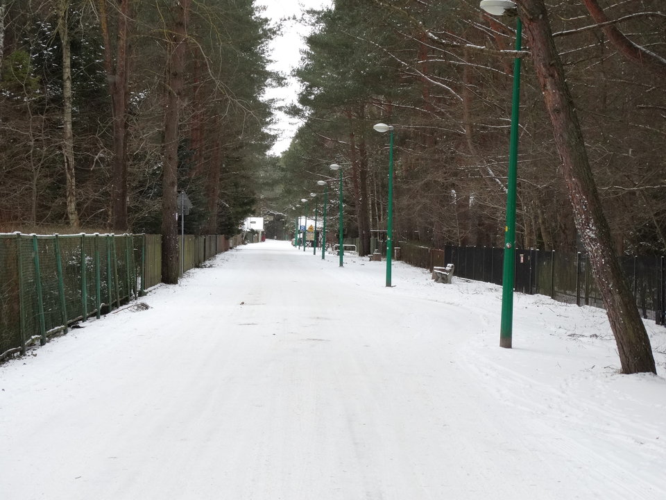 DSC02784.JPG - dex72