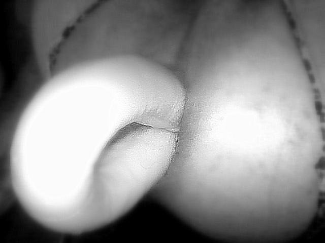 001 (2).jpg - ArekNo1