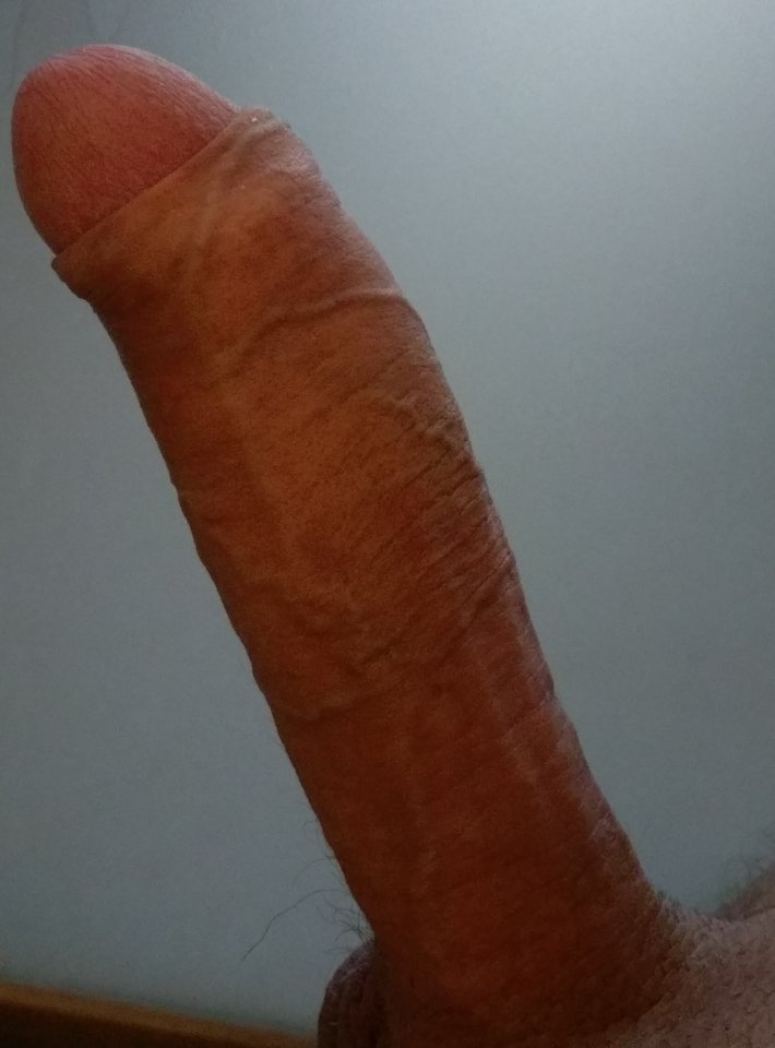 IMAG3449.jpg - Wypychacz