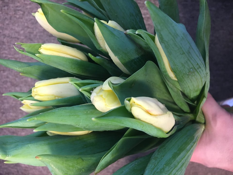 🌹W tym dniu życzę wszystkim Panią samej radości, błogoś - chetnyna2000