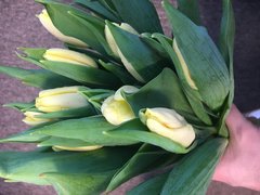 🌹W tym dniu życzę wszystkim Panią samej radości, błogoś