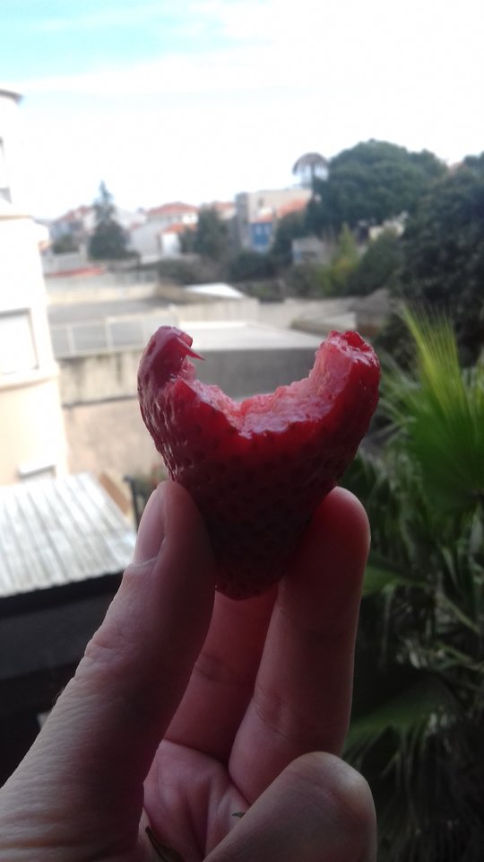 20180307_100736.jpg - Nexxuss