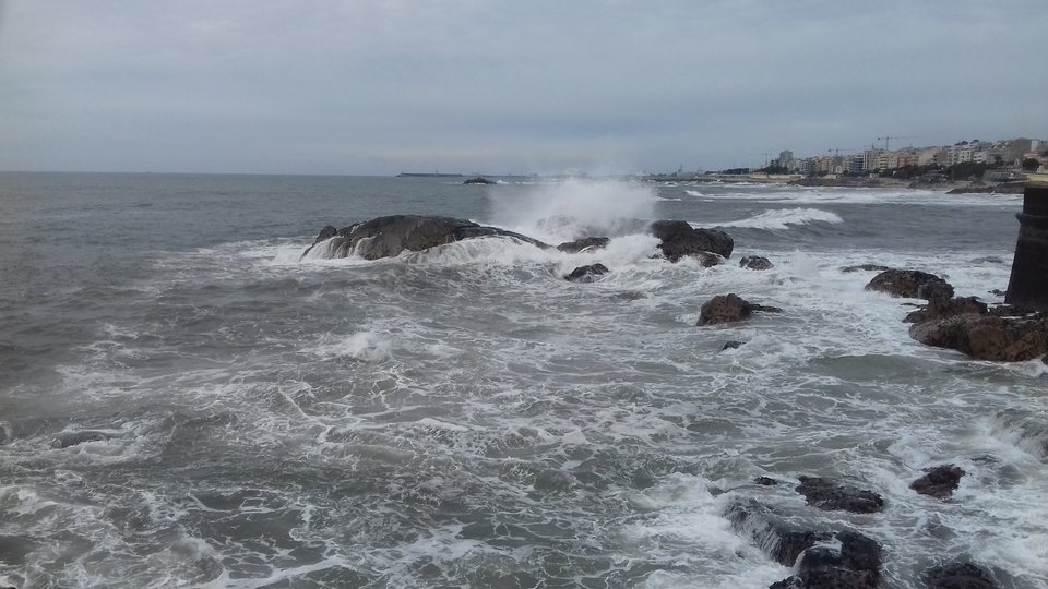 20180307_134100.jpg - Nexxuss