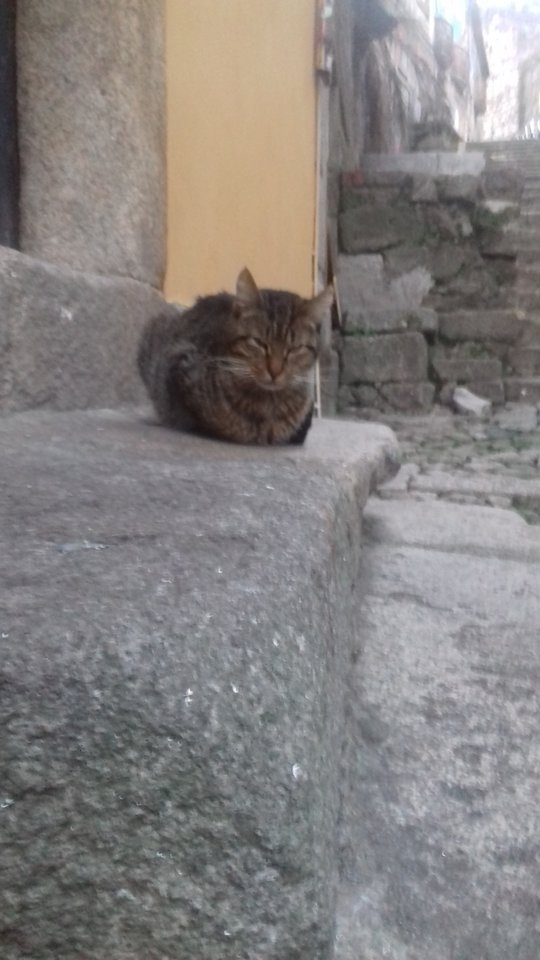 20180307_180344.jpg - Nexxuss