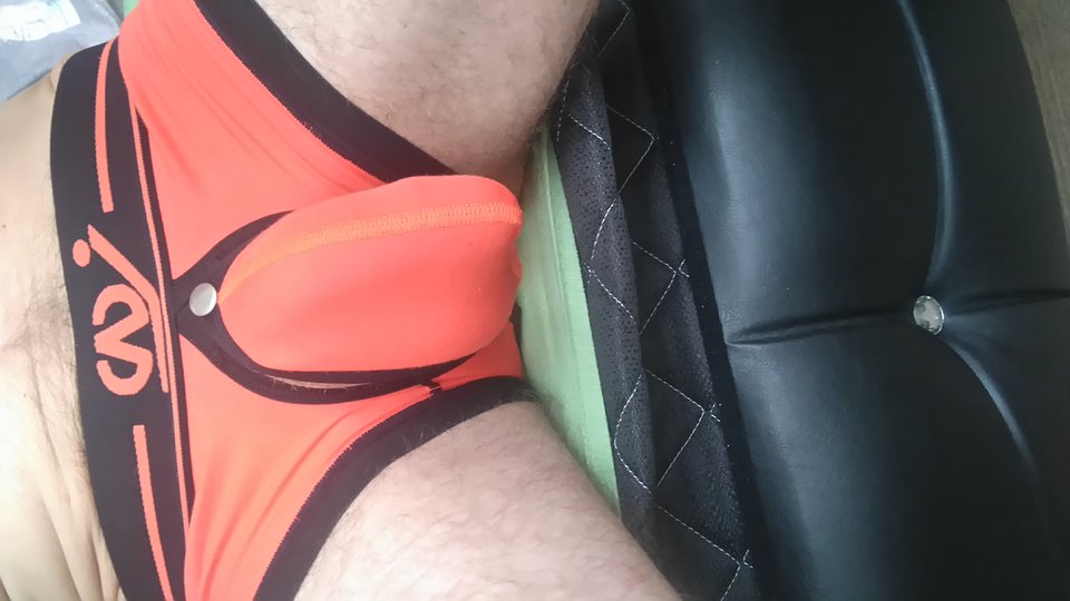 DSC_0041.JPG - renaultclio