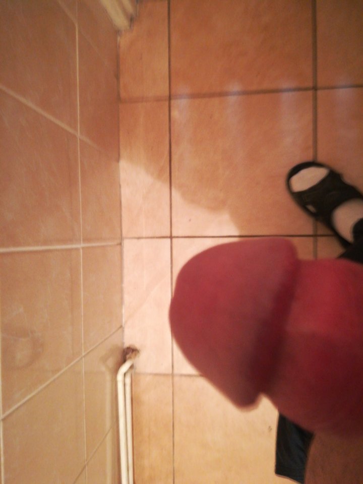 15206881670931936525346.jpg - martinez8802