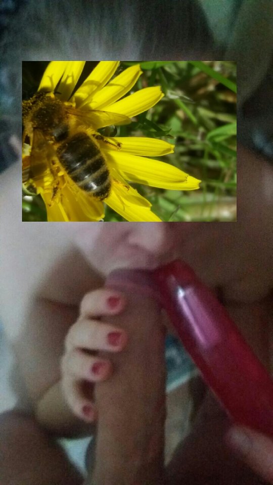 20180311_112910.jpg - ParaBiPz