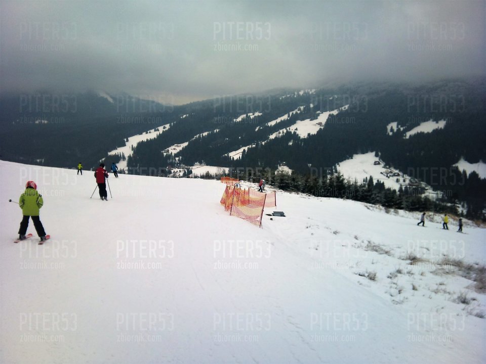 DSC_0241.jpg - Piter53