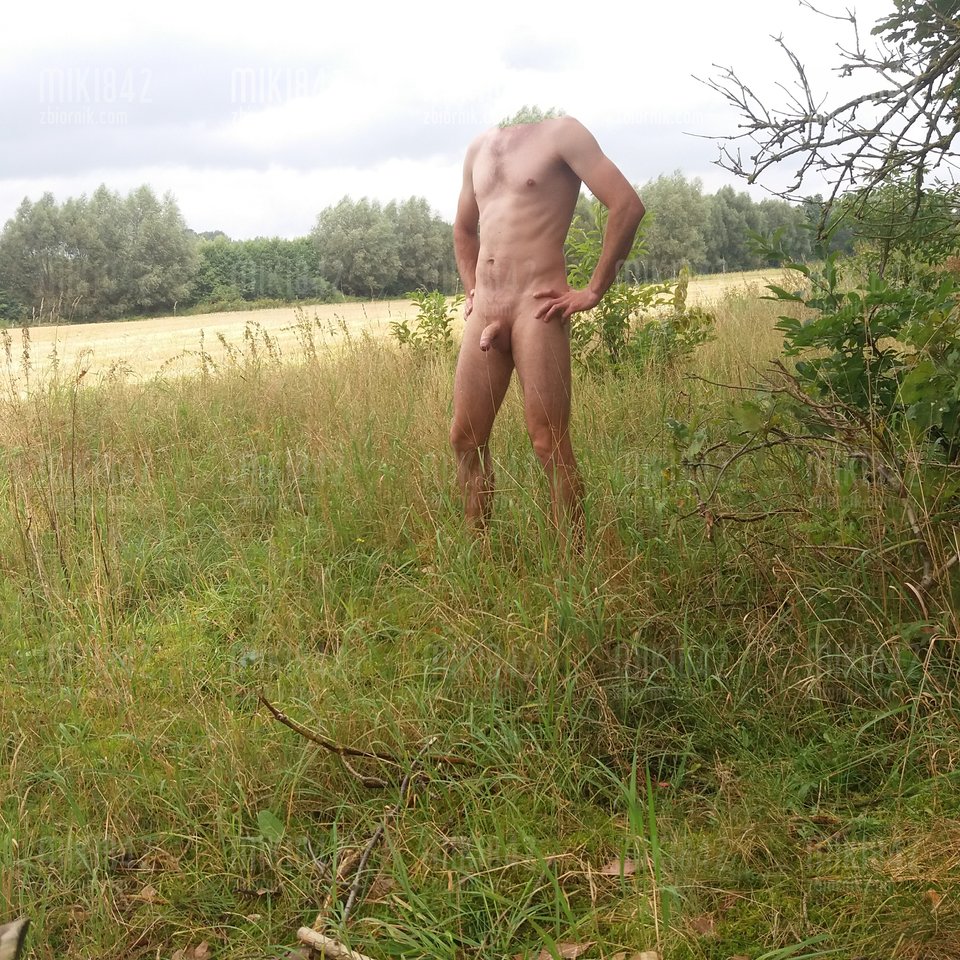 IMG_20180312_112218.jpg - miki842