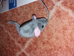 20180314_134851.jpg