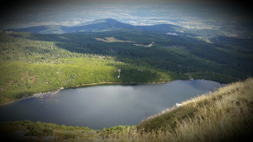 2018-03-16 10.01.18.jpg - Szogun6802