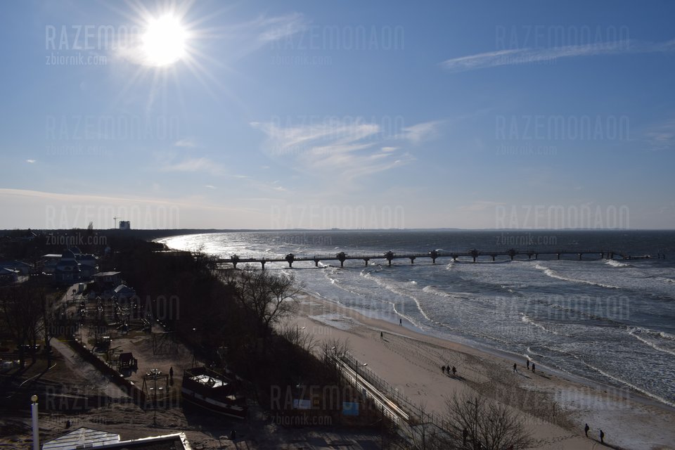 DSC_0040.JPG - RAZEMonaon