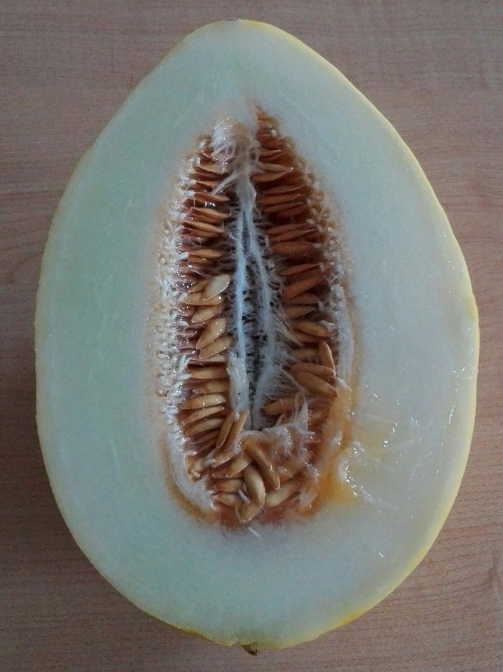 IMG_20180317_165321.jpg - rzeszee