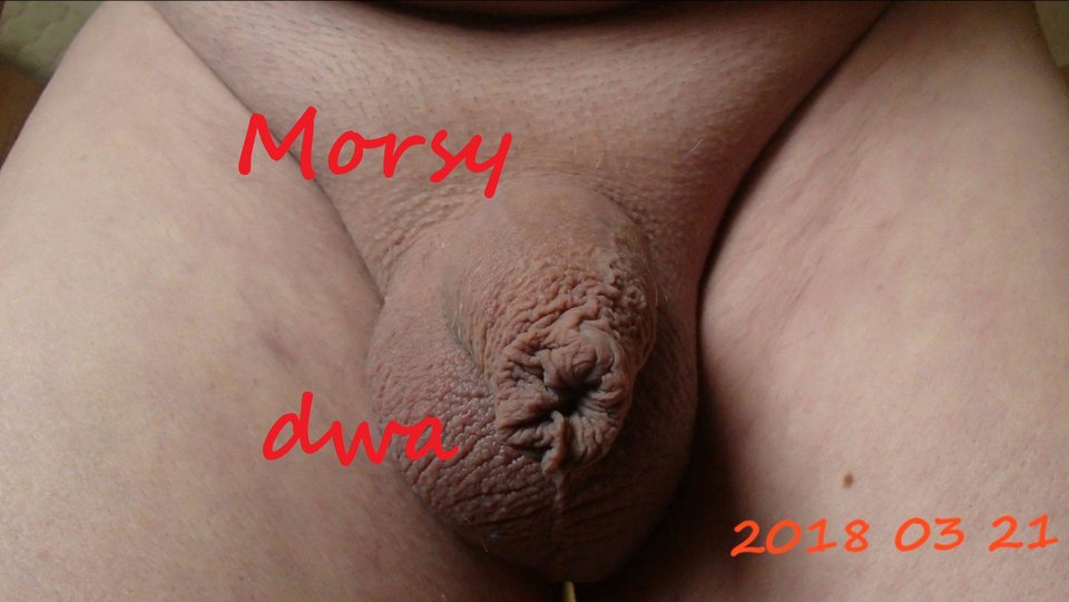 Wiosenny - Morsy_dwa
