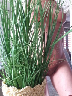 20180322_130527.jpg