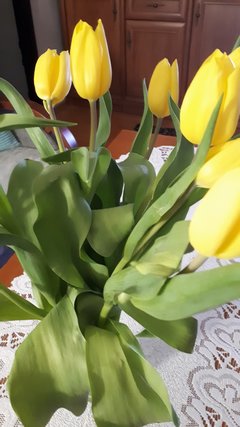 20180331_231300.jpg