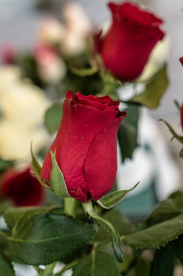 Młoda, zgrabna i powabna ;) - mystic