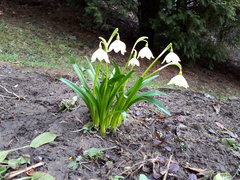 20180331_121050.jpg