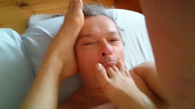 swobodny_kot