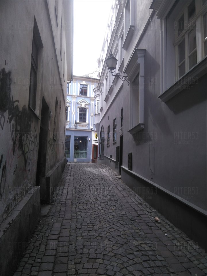 DSC_0203.JPG - Piter53