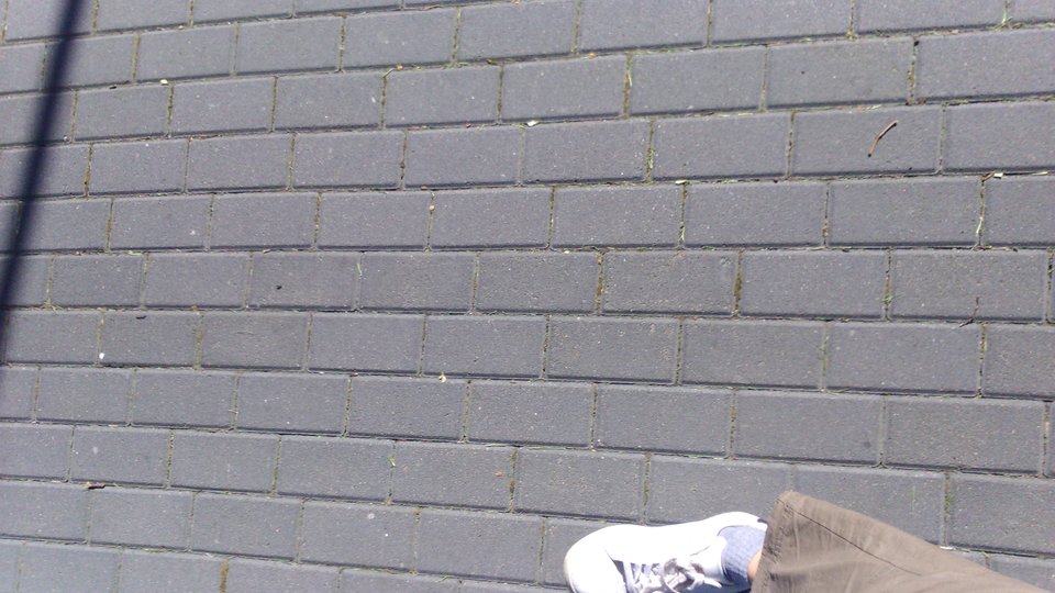 DSC_0033.JPG - harivax