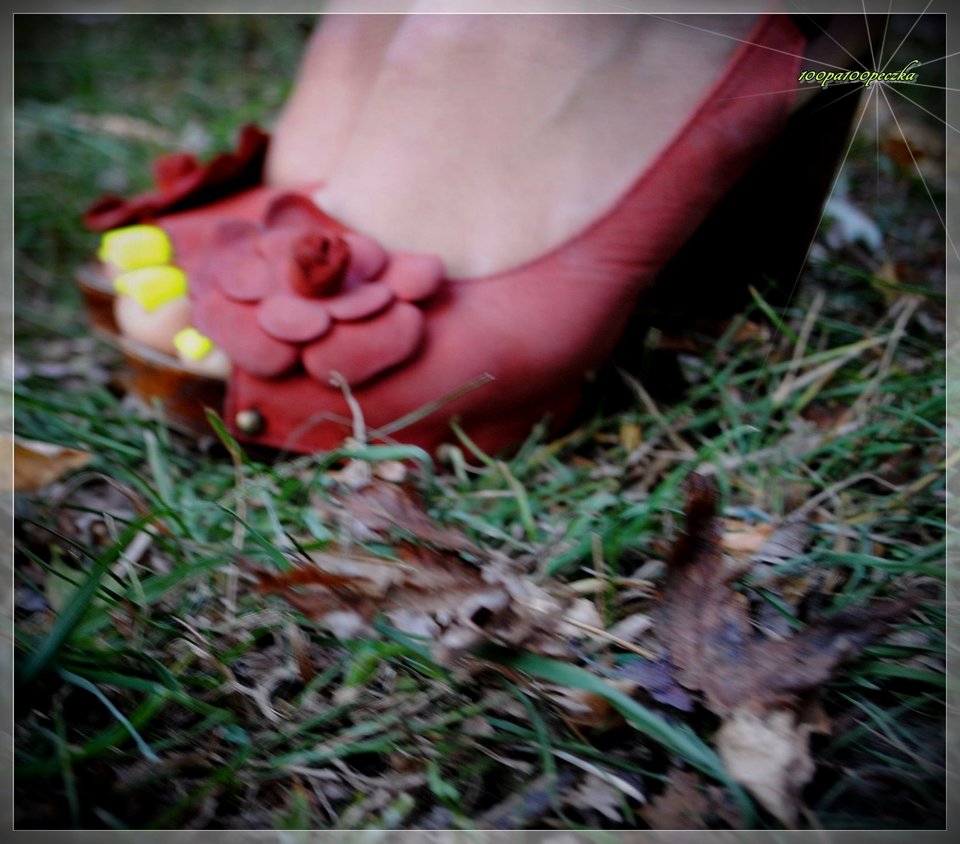 Ceglaste #59 - 100pa100peczka