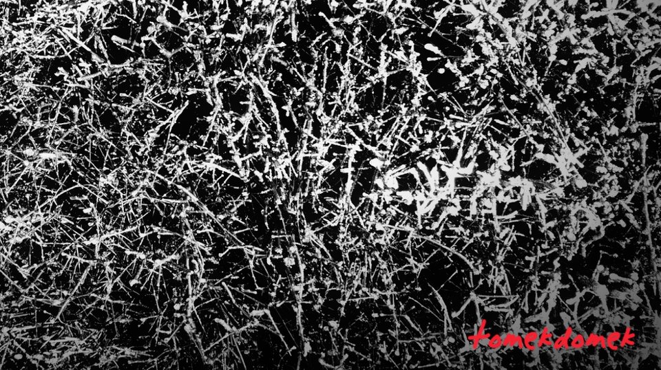 2018-04-08-15-14-34.jpg - Dominikw