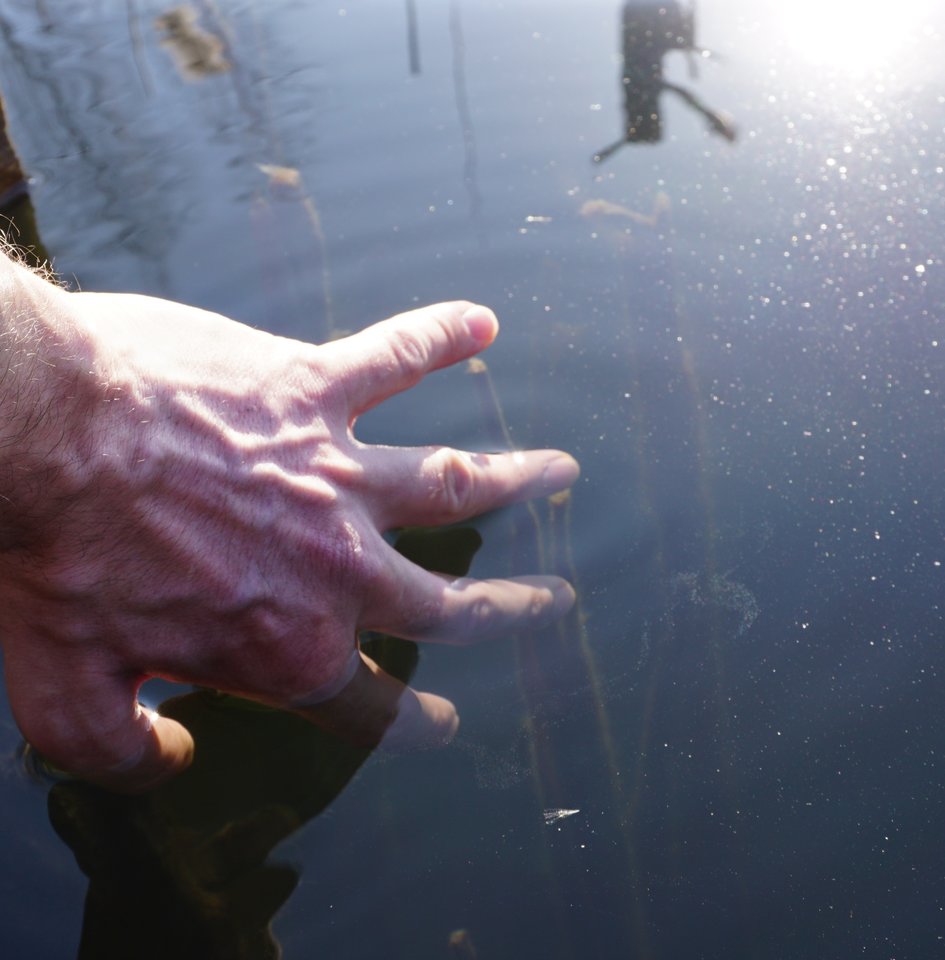 T.16.JPG - MAK_Demon