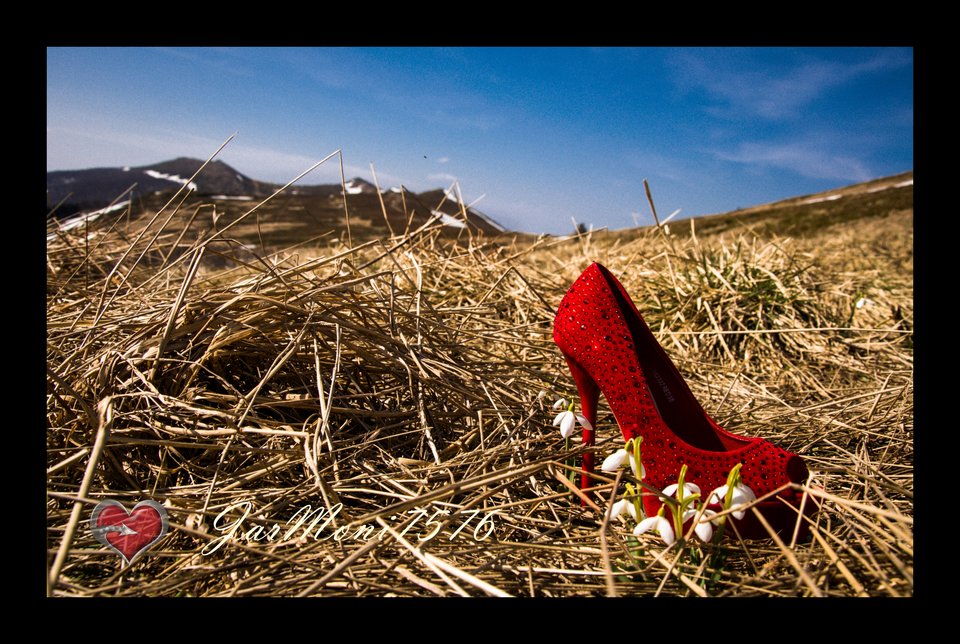 Zrobione w Bieszczadach. - jarmoni7576