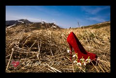 Zrobione w Bieszczadach.