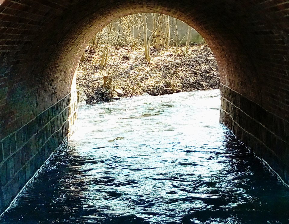 IMG_20180410_151054_750.jpg - Alien65