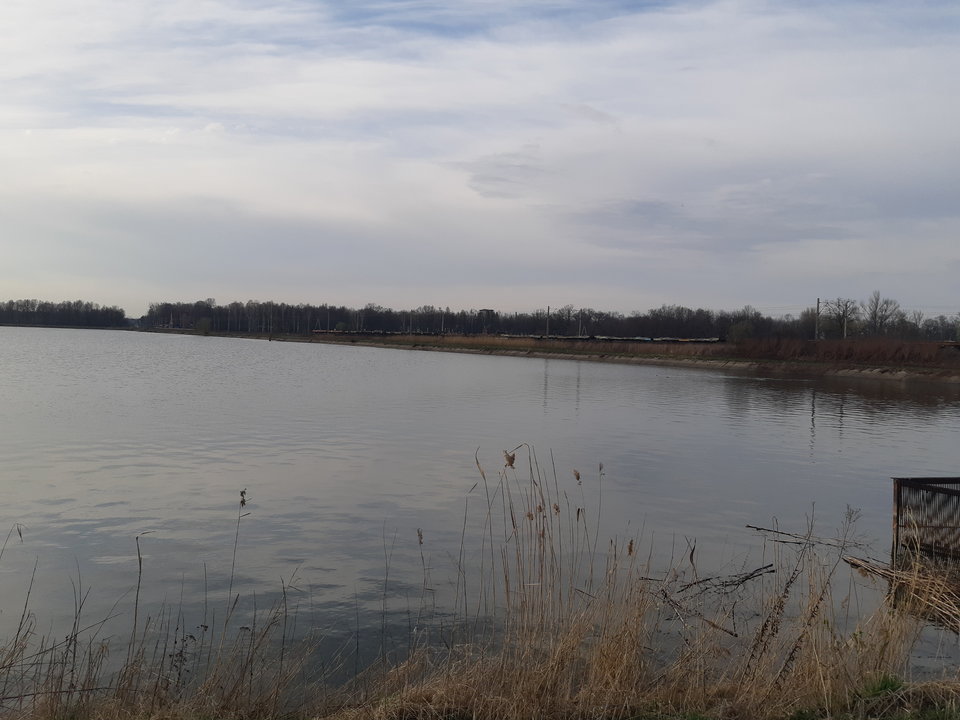 20180410_175432.jpg - mlody1277