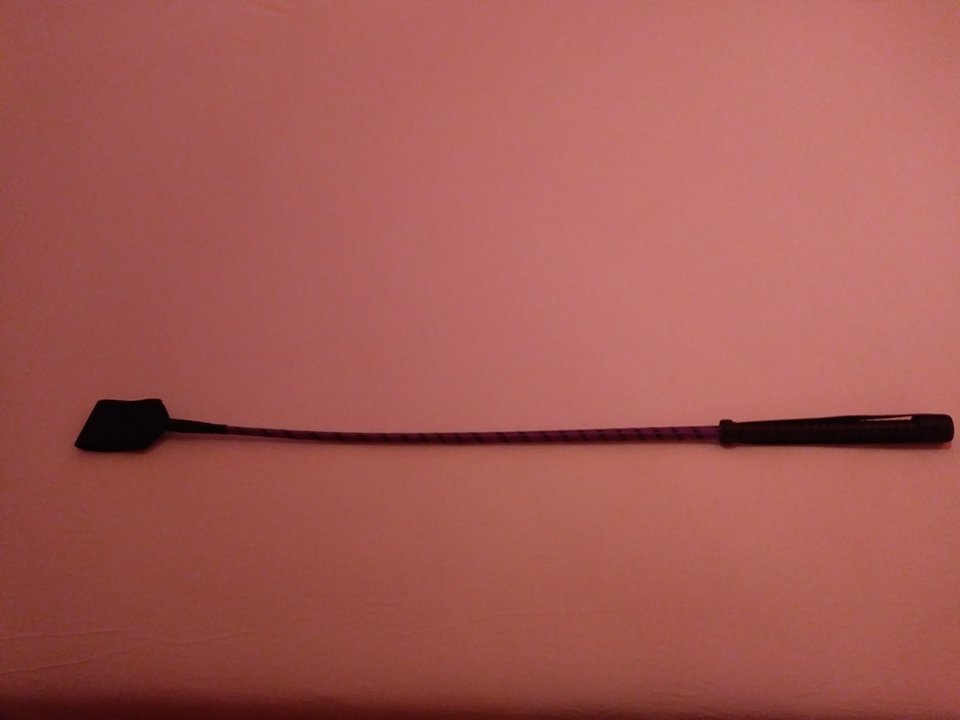 20180327_185154_resized.jpg - Dominick69