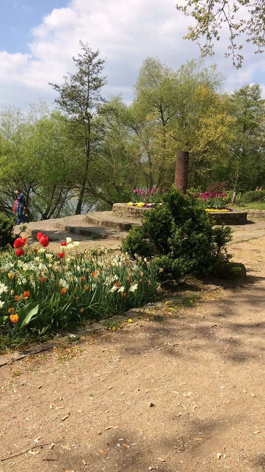 DDF7899E-03D7-41C4-89D9-44F4BDCEB49E.jpeg - pawelsolt