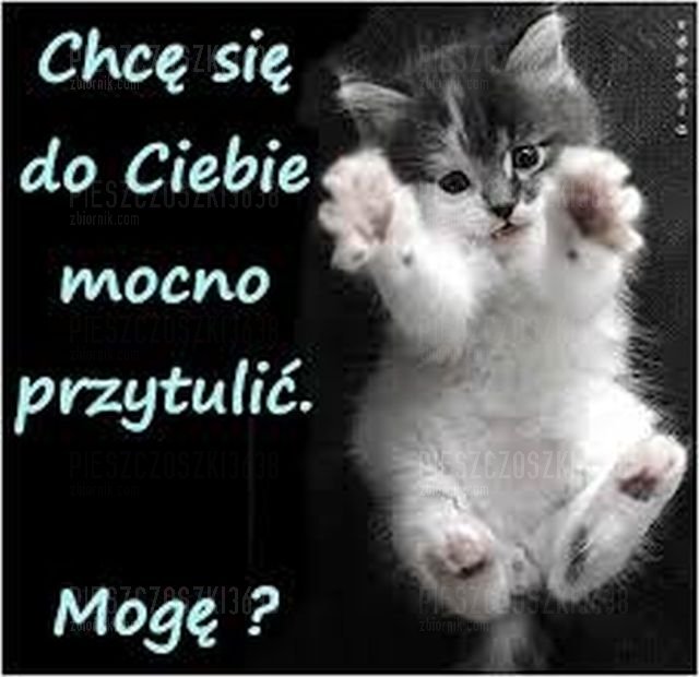 ZDJ 5.jpg - Pieszczoszki3638
