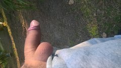 WP_20180414_07_58_00_Pro.jpg