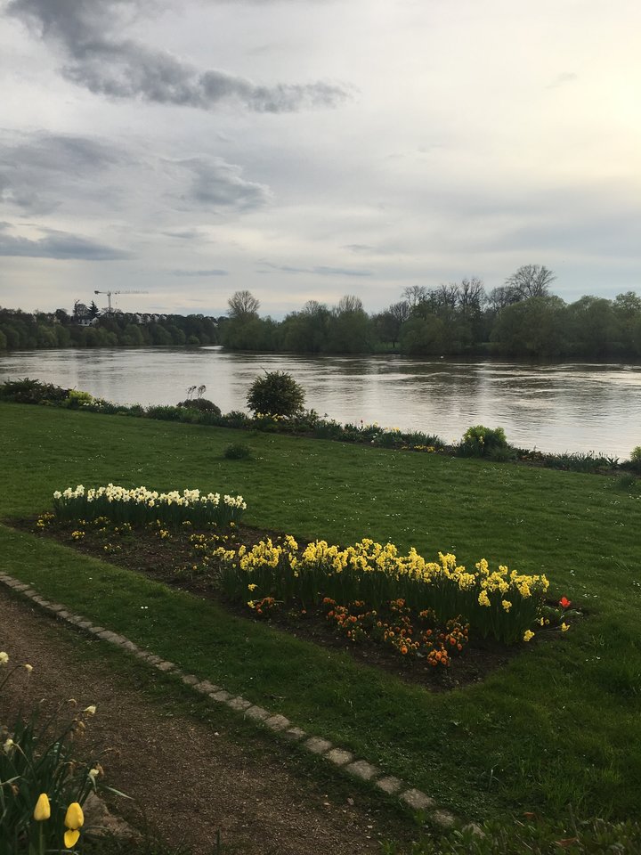 92CD797B-AF8E-4545-98D2-7FE053420F17.jpeg - pawelsolt