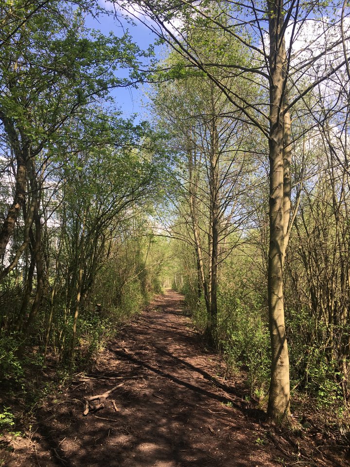 D6AD8C69-4160-4A2E-8351-3BED51443948.jpeg - pawelsolt